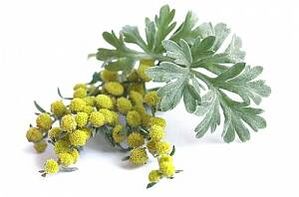 Extrait d'absinthe dans NEOflorax